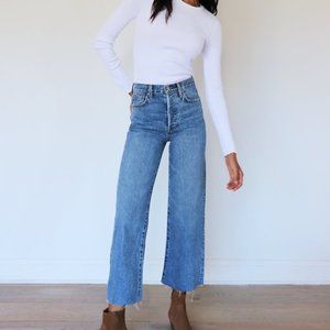 Aritzia Denim Forum The Farrah High Rise Wide Leg